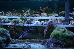 Killikus&reg; Fotographie